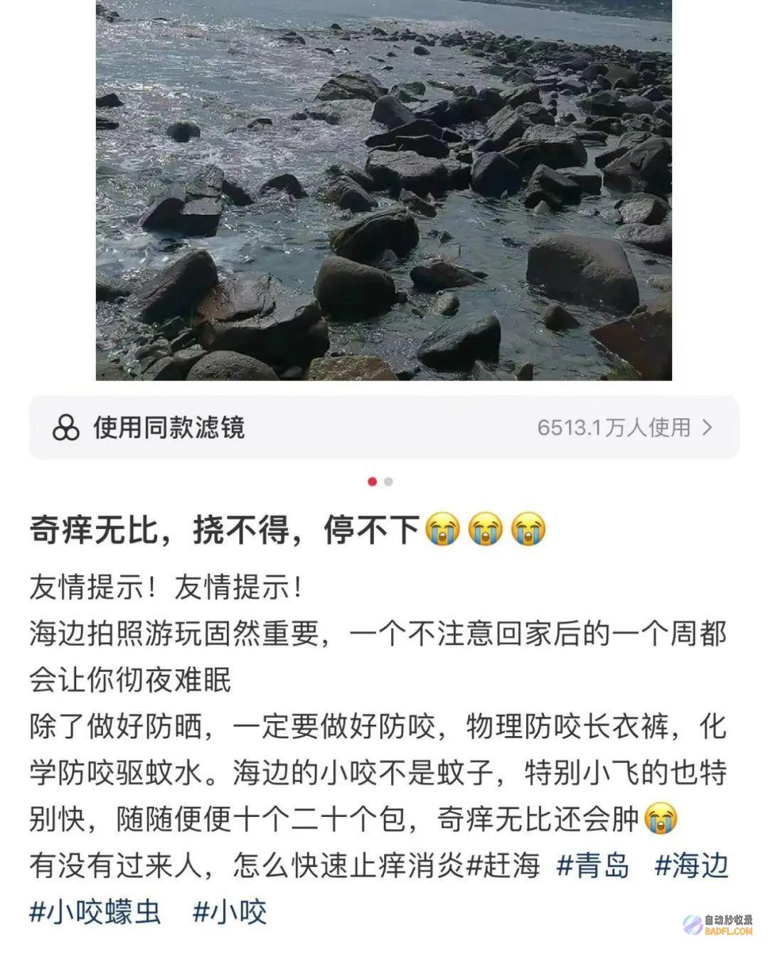 已到高发期也有人中招不少人晒出照片痒到解