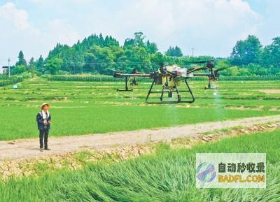 三夏启动时 当好同乡们的 田保姆 (三夏问题)