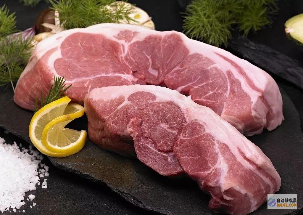 猪肉多少钱再翻新高！仔猪涨价惊人 一头七公斤仔猪竟售价680元！ (猪肉多少钱再买合适)
