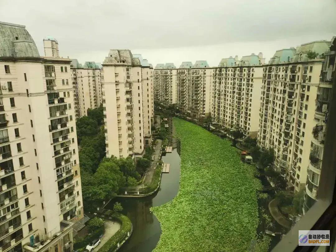 中国楼市的拐点最晚2025上半年到来最早明年下半