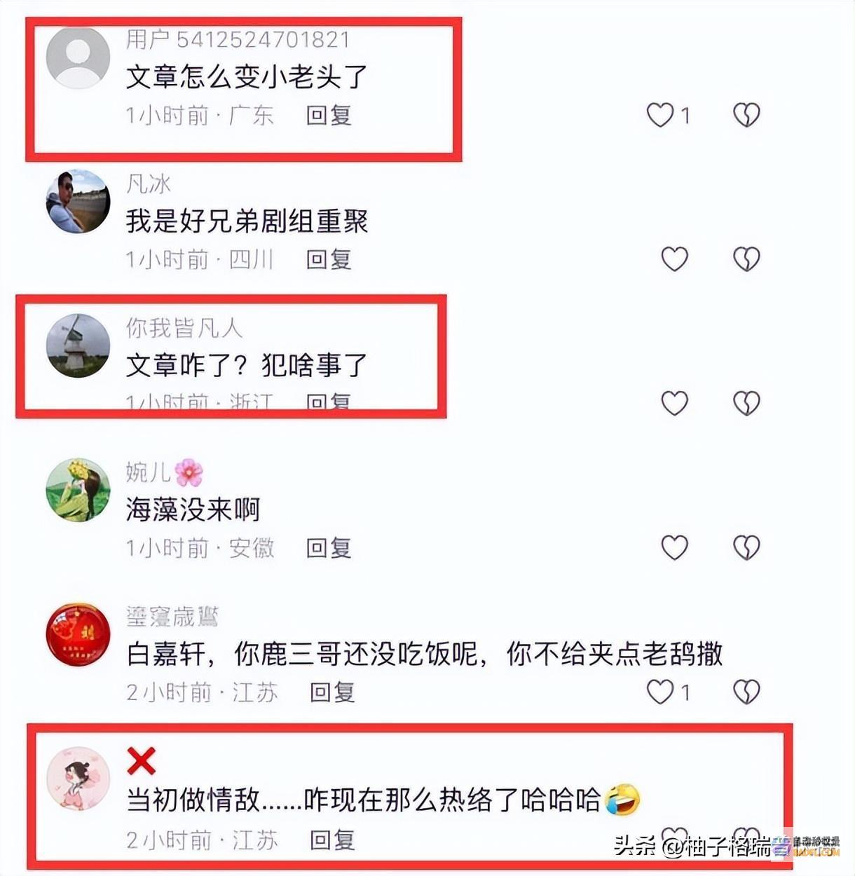 张嘉译同聚餐文章形态沧桑头发花白网友变