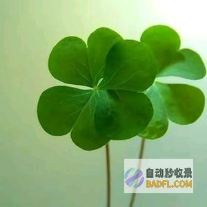 证明靠一部电影74岁的张艺谋这事完结了吃一辈子