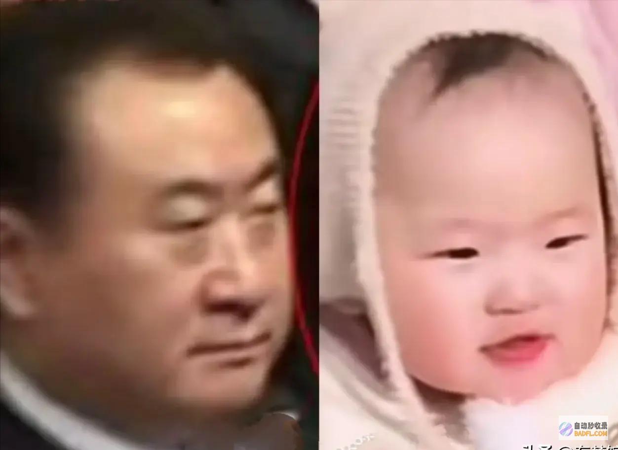 全网都是我的照片笑不活了思聪外面干的事