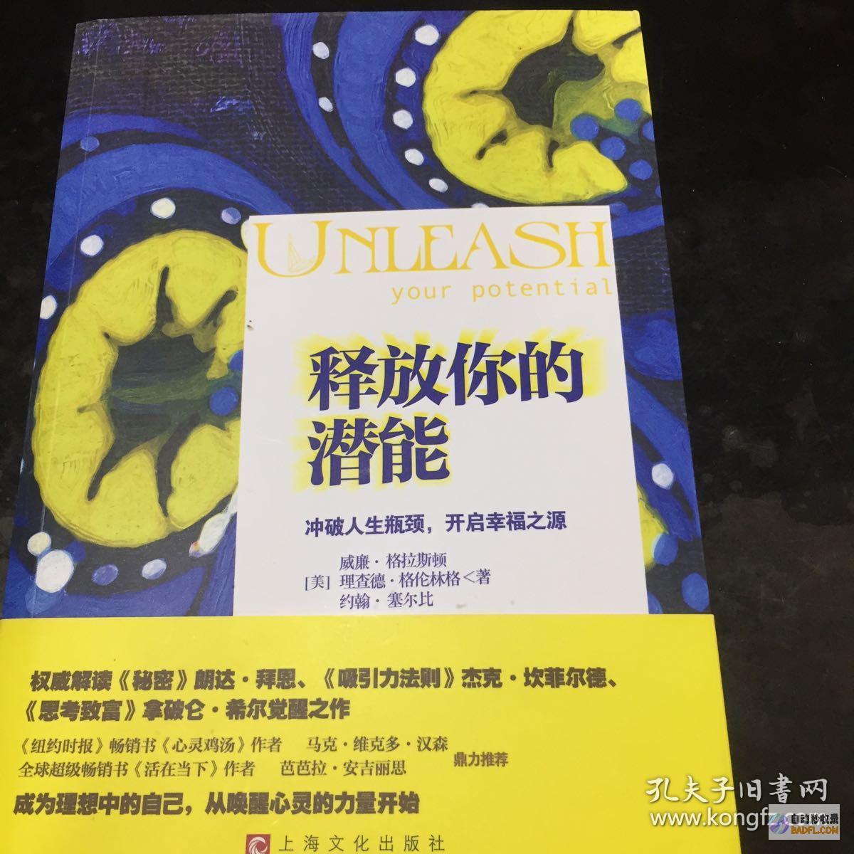 释放你的创造潜力：Midjourney 高级技巧和指南 (释放你的创造力的艺术特点)
