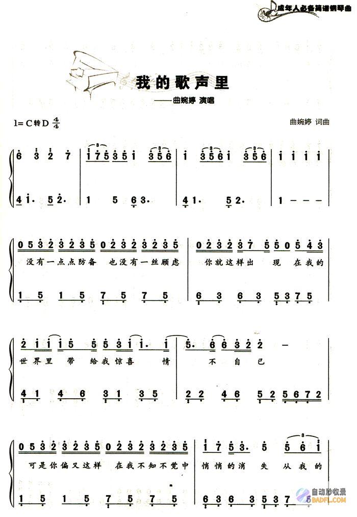 初学者必备：SEO基本概念和策略 (初学者必备的冰壶教学视频)