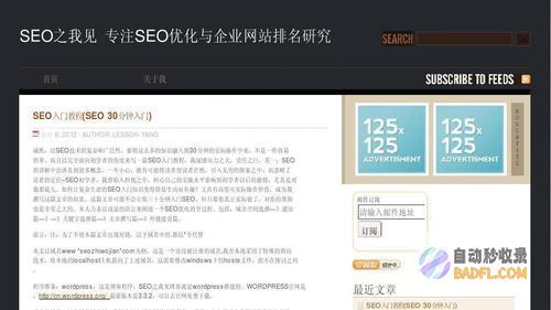 SEO初学者：掌握优化网站所需的知识和技巧 (seo初学教程)