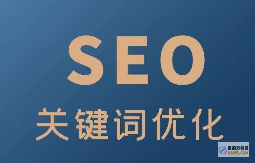 权威 SEO 指南：提升网站在搜索结果中的排名 (权威seo术语)