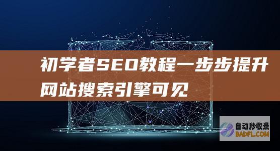 初学者 SEO 教程：一步步提升网站搜索引擎可见性 (初学者色彩静物图片)