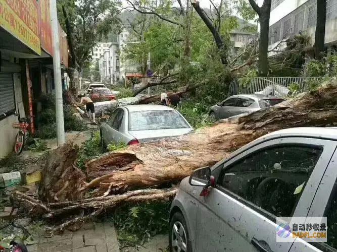 影响范畴广到难以置信3号恐惧尽在你意想不