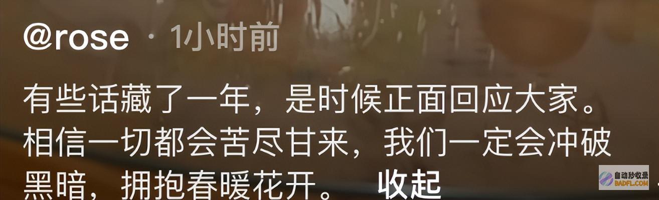 网红rose对黑粉出手法院态度明白网友称假送金手