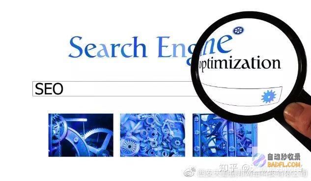 SEO 入门：为初学者打造成功的网站 (seo入门教程)