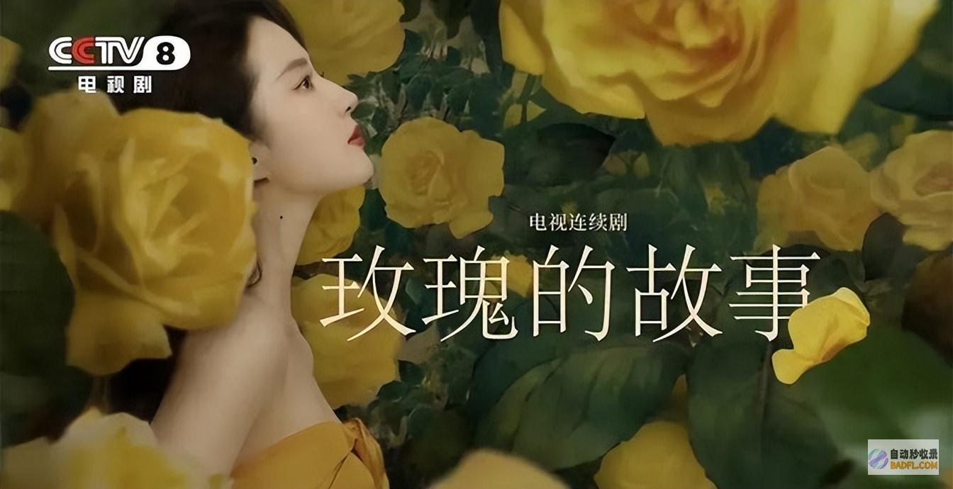 直到苏苏被黄振华孤负才发现白晓荷躺赢玫瑰的故
