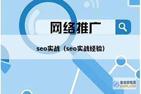 SEO 实战案例 宝典：从零基础到流量霸主 (seo实战案例)
