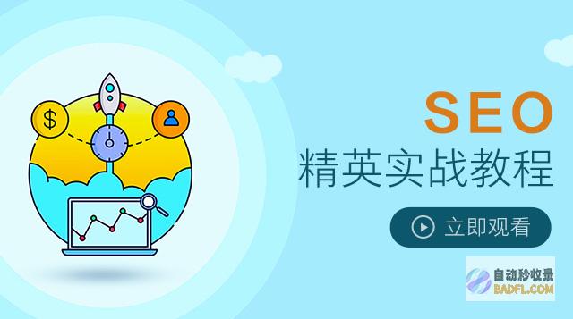 SEO 实战案例分享：见证从默默无闻到行业领袖的蜕变 (seo实战案例)