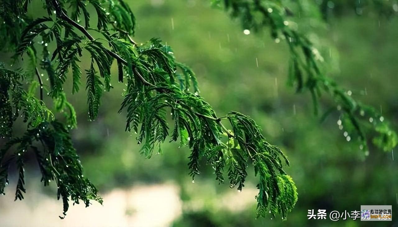 当天早晨至24日天气预告暴雨大暴雨散布如下新一