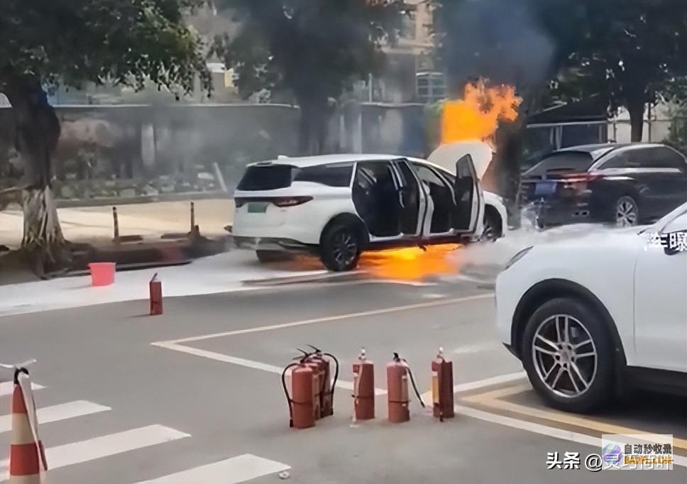 新动力汽车自燃惊现广东网友愤怒难抑新动力车的