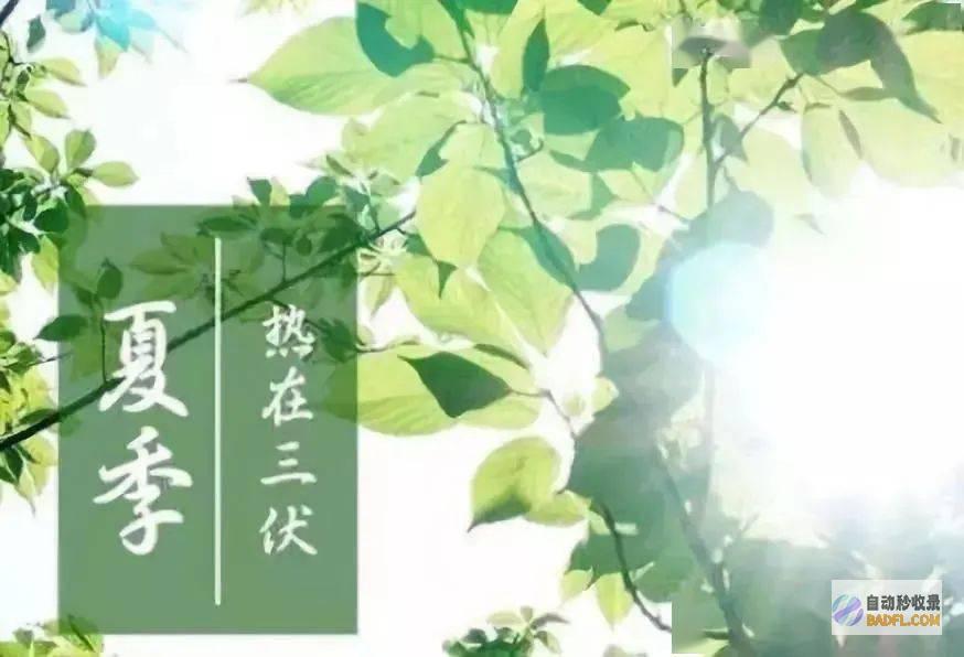 2024年三伏天时间表来了或是60年不遇冷夏往年三