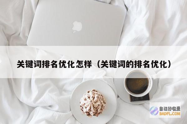 关键词排名优化大师班：从初学者到专家