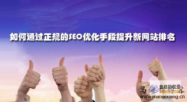 提升您的网站排名：掌握 SEO 技术的完整指南 (提升您的网站能力)