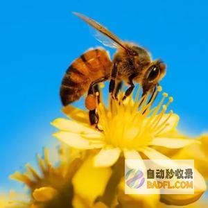 2024年省全民诗词大赛总决赛举办2024年