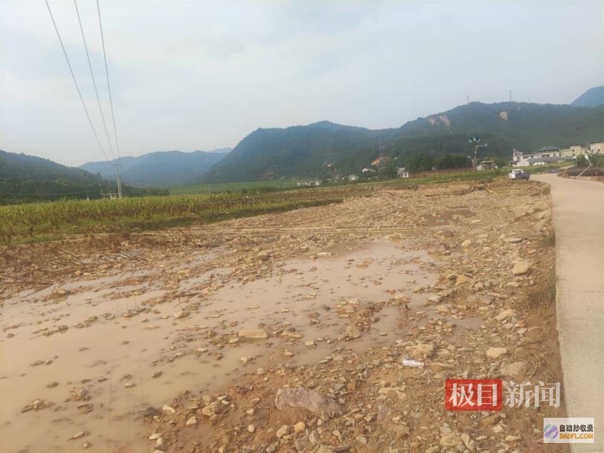 鱼儿逃进地里暴雨致水库满溢数百亩田地被淹