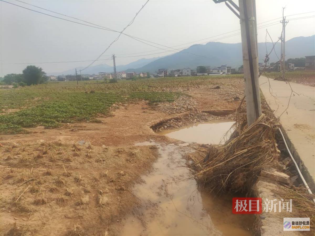 有村民捞起数百斤大鱼梅州暴雨致水库满溢数百亩