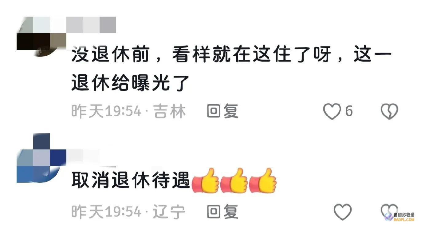 闹大了辽宁省原公安厅纪委书记孙成伟退休后常年