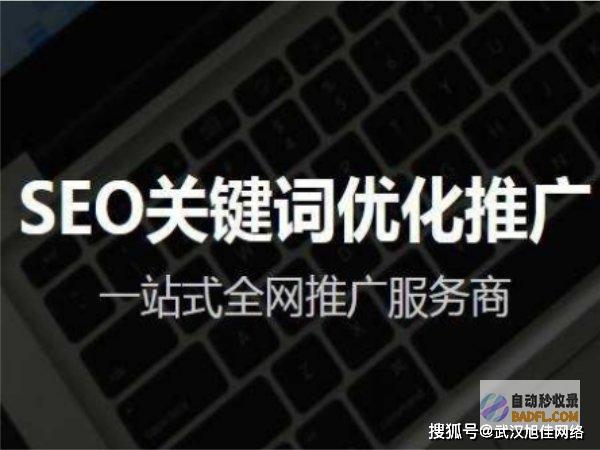诊断网站不收录的原因：深入挖掘并找到问题的根源 (诊断网站不收费怎么办)