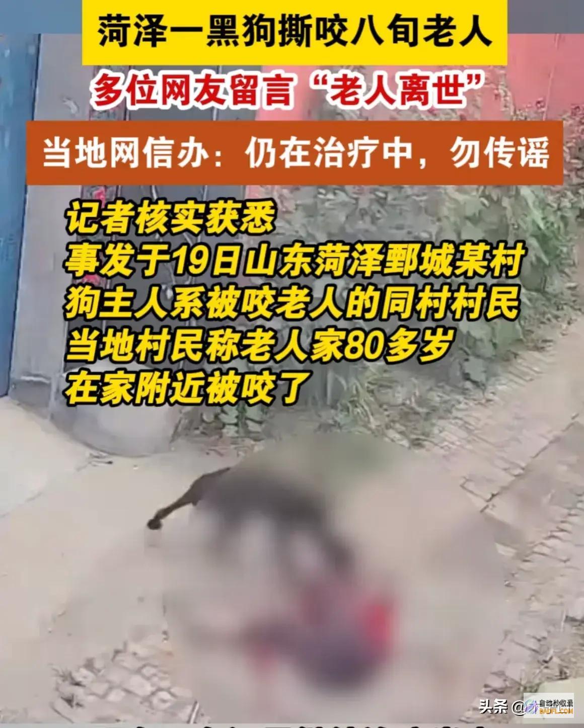 菏泽80岁乡村老太被狗撕咬后续已被解决网友炸锅