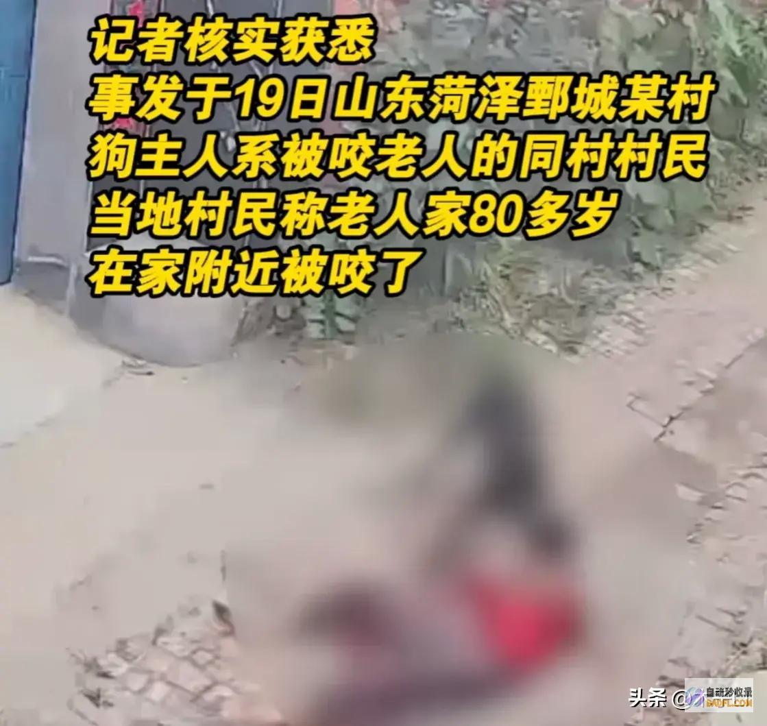 菏泽80岁乡村老太被狗撕咬后续已被解决网友炸锅