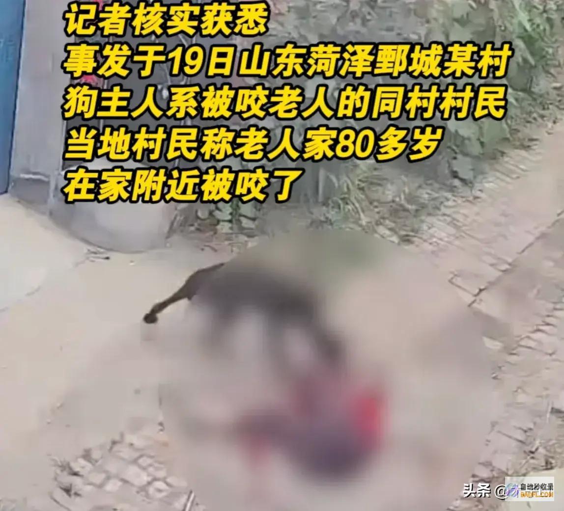菏泽80岁乡村老太被狗撕咬后续已被解决网友炸锅