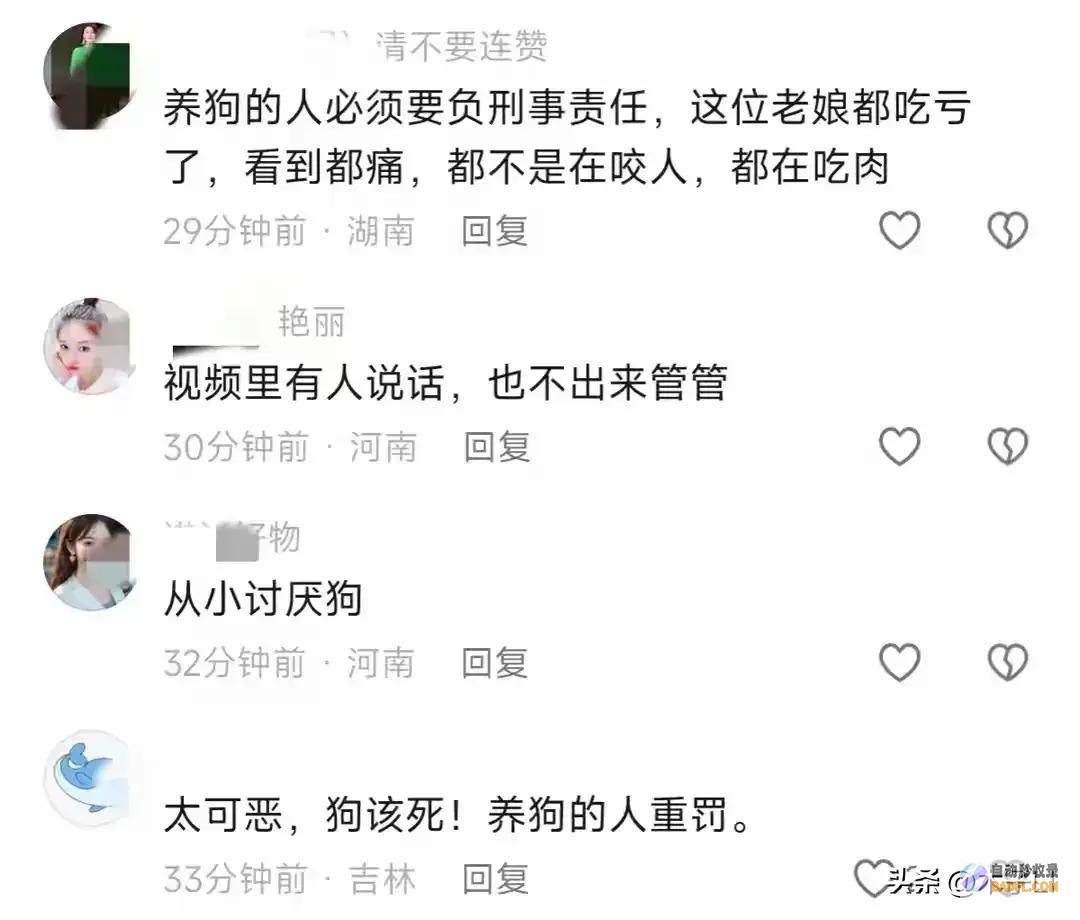 菏泽80岁乡村老太被狗撕咬后续已被解决网友炸锅