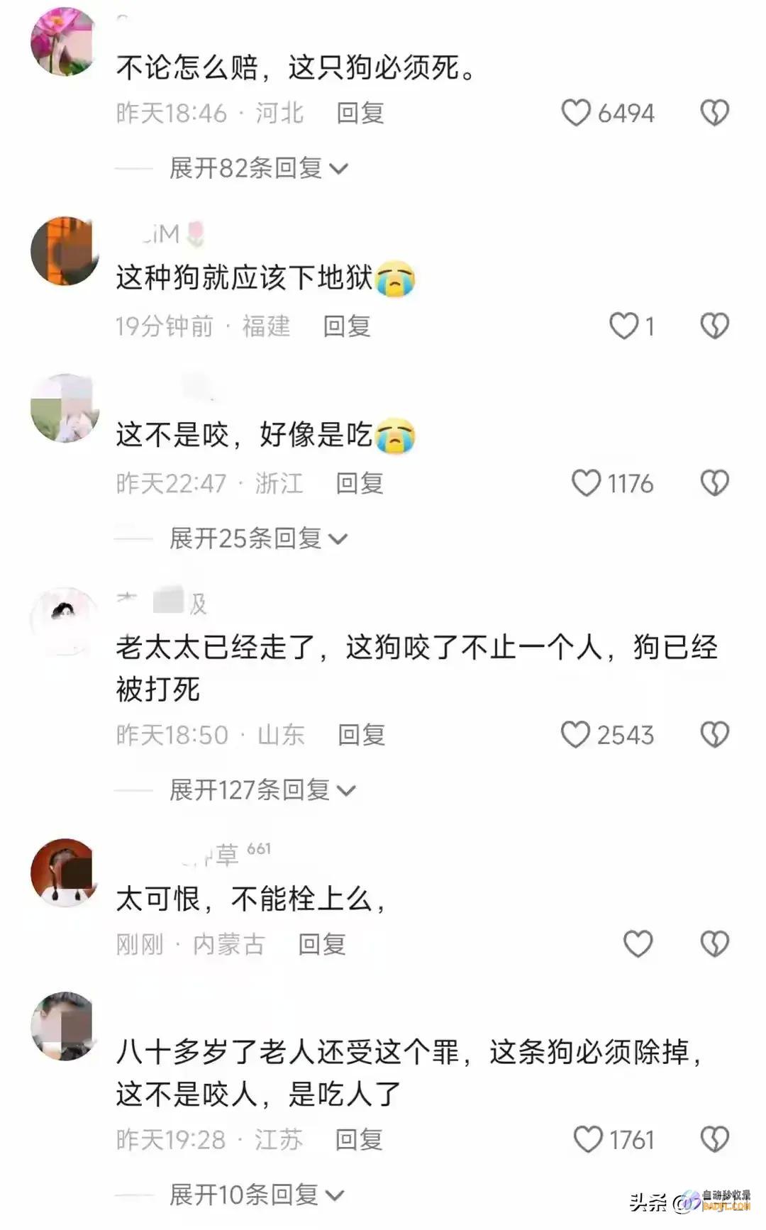 菏泽80岁乡村老太被狗撕咬后续已被解决网友炸锅