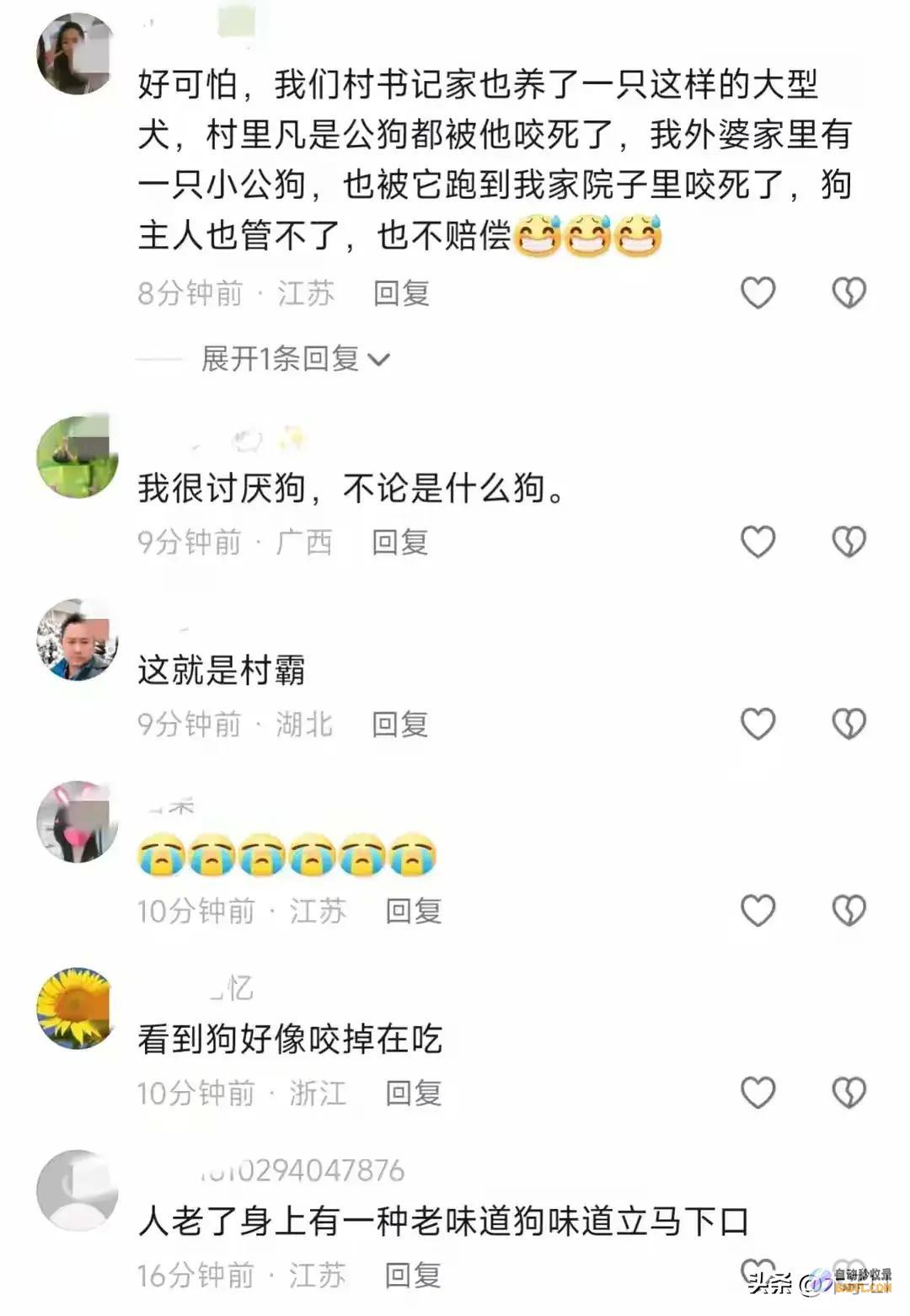 菏泽80岁乡村老太被狗撕咬后续已被解决网友炸锅