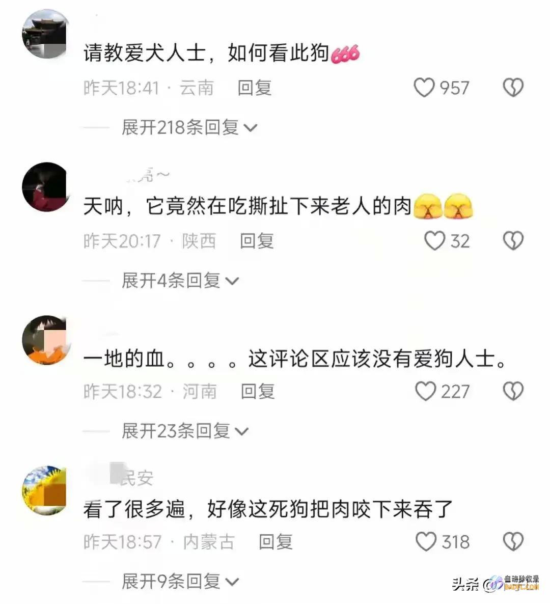 菏泽80岁乡村老太被狗撕咬后续已被解决网友炸锅