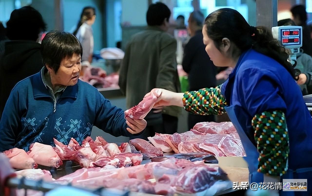 附猪价行情连降三次生猪狂跌不止是时刻出