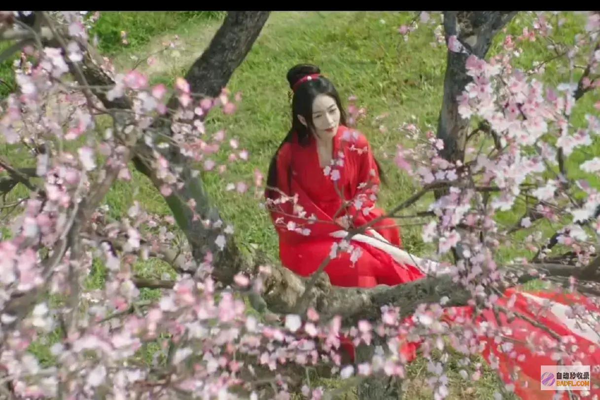 薛芳菲替姜梨原谅父亲风雨飘摇的剧情还是崩了墨