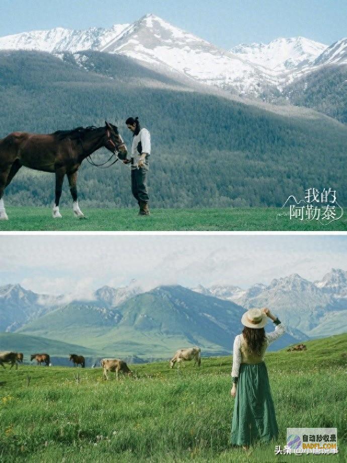 去过新疆旅行的人嘴是真严呐！ 游客在阿勒泰饱受蚊子折磨 网友 (去过新疆旅行的说说)
