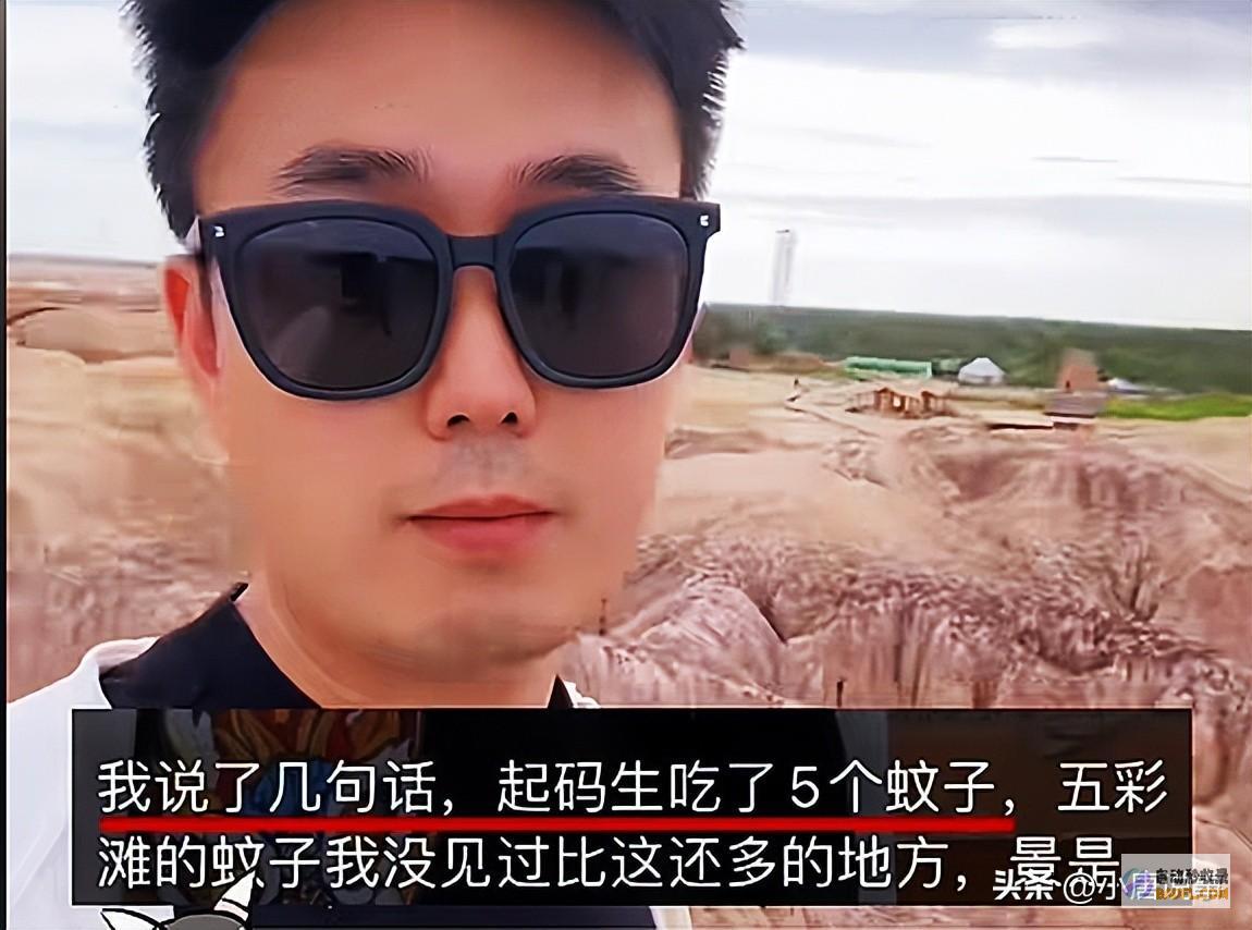 去过新疆旅行的人嘴是真严呐游客在阿勒泰饱受蚊