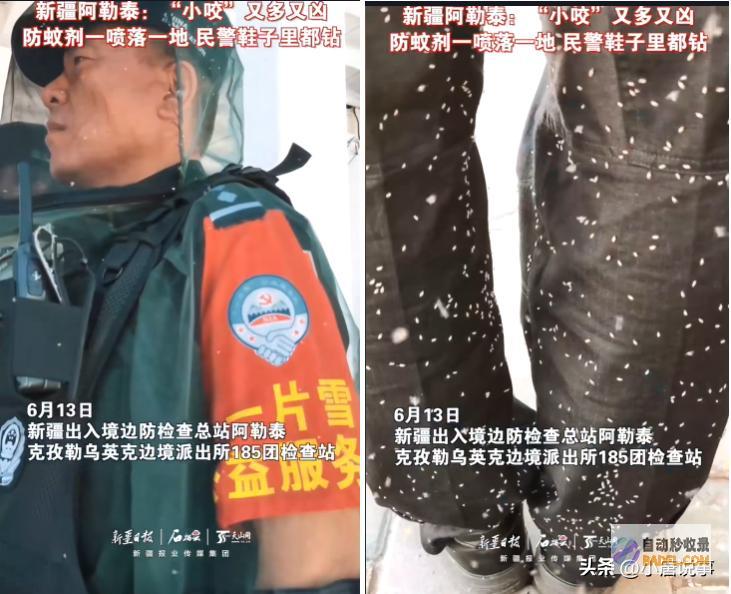 去过新疆旅行的人嘴是真严呐游客在阿勒泰饱受蚊
