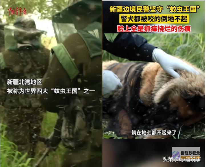 去过新疆旅行的人嘴是真严呐游客在阿勒泰饱受蚊