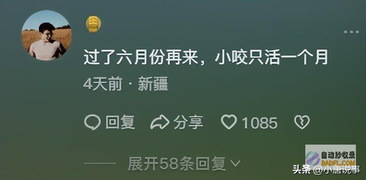 去过新疆旅行的人嘴是真严呐游客在阿勒泰饱受蚊