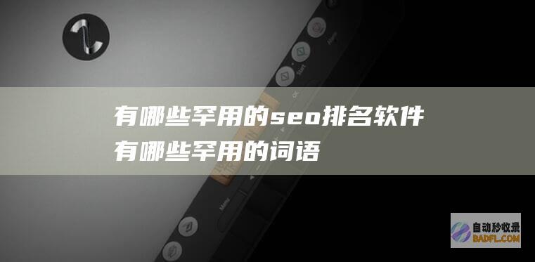 有哪些罕用的seo排名软件 (有哪些罕用的词语)