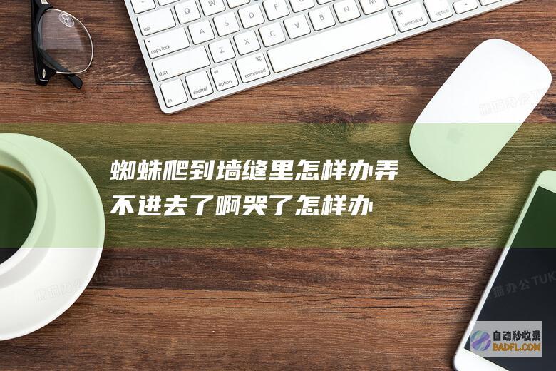 蜘蛛爬到墙缝里怎样办弄不进去了 啊哭了！ 怎样办 (蜘蛛爬到墙缝里)