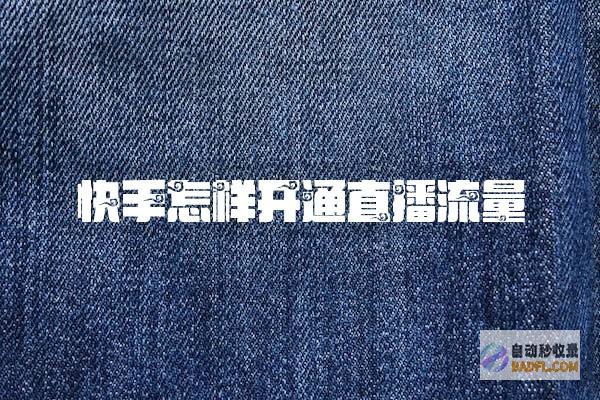 快手流量怎样变现赚钱 (快手流量怎样才能涨)