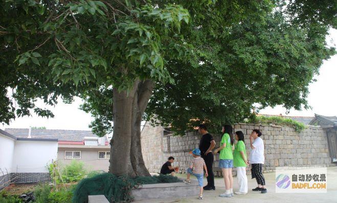 树立新乡村 新农人 吸引 (打造新乡村)