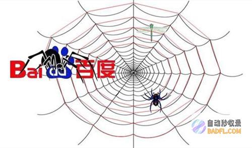 如何吸引蜘蛛经常来爬我的网站 (如何吸引蜘蛛爬出来)