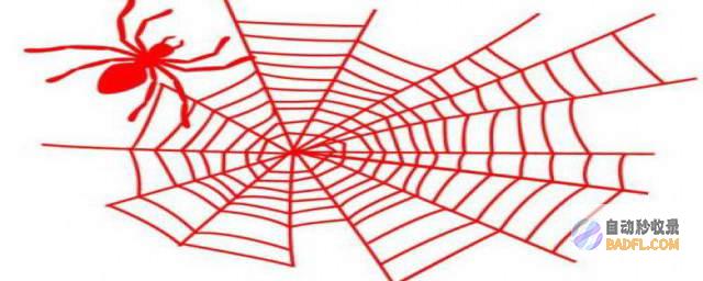 家里的蜘蛛会不会被动咬人 (家里的蜘蛛会咬人吗?)