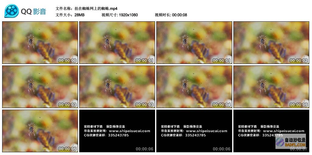 如何检查蜘蛛爬取日志如何检查蜘蛛爬取日志记载 (如何检查蜘蛛痣)
