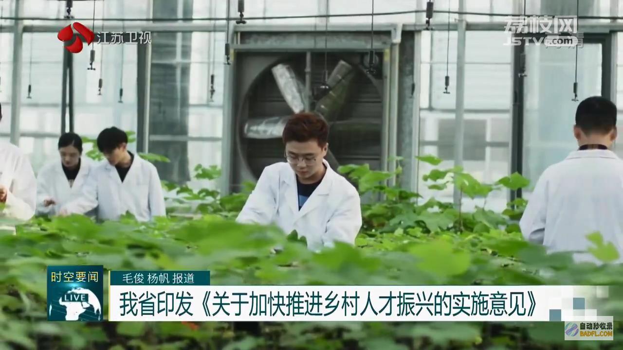乡村复兴吸引人才的措施 (什么是乡村复兴)